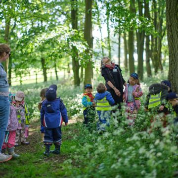 Dame Bradbury's Forest School